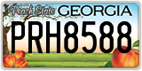 Georgia, ABC 1234