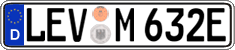 German license plate, Electric vehicles