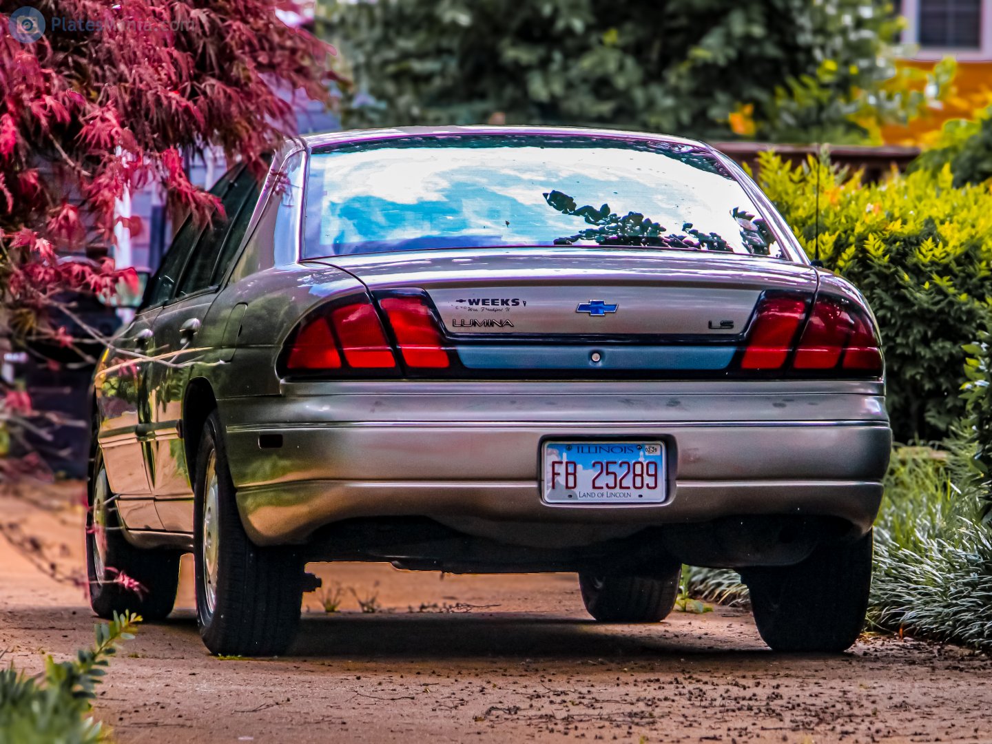 FB 25289, Chevrolet Lumina 2nd gen (69; W-body), 1994–2001