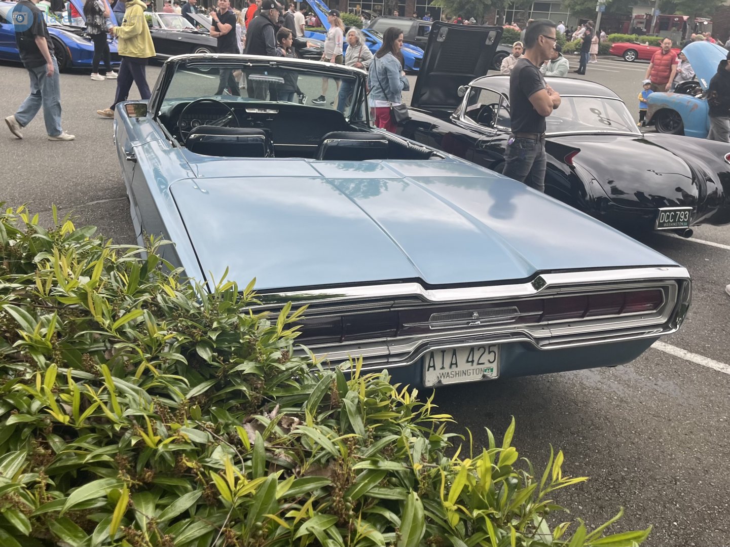 AIA 425, Ford Thunderbird 4th gen 1966 Convertible (76A), 2nd facelift, 1965–1966