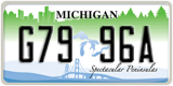 Michigan, Commercial (А12 34B)