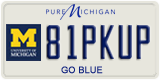 Michigan, Vanity Plates