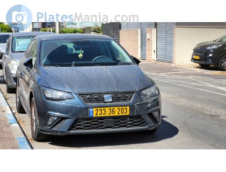 233-36-203, SEAT Ibiza