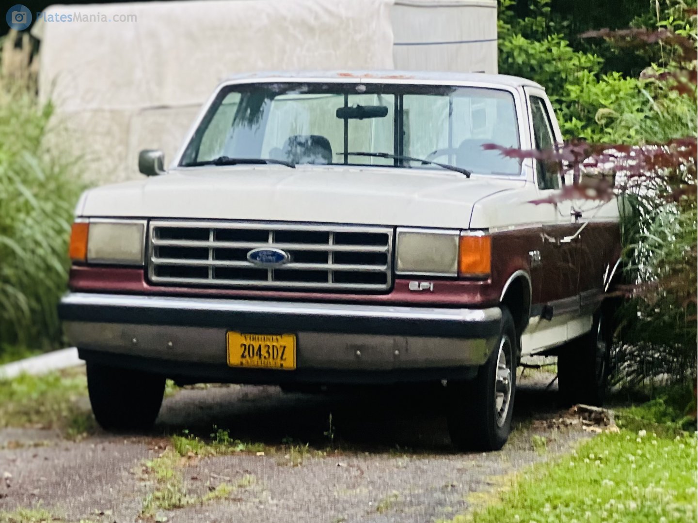 2043DZ, Ford F-150 8th gen, 1986–1991