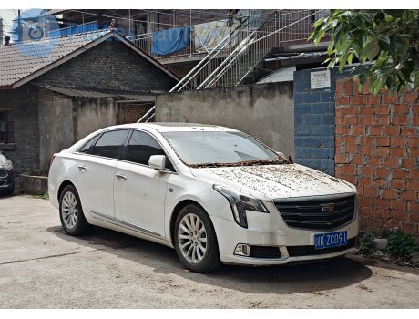 川K·ZC091, Cadillac XTS