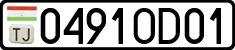 0491OD01