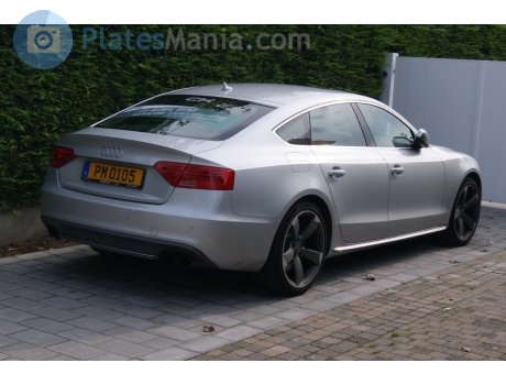 PM 0105, Audi S5