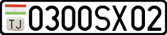0300SX02