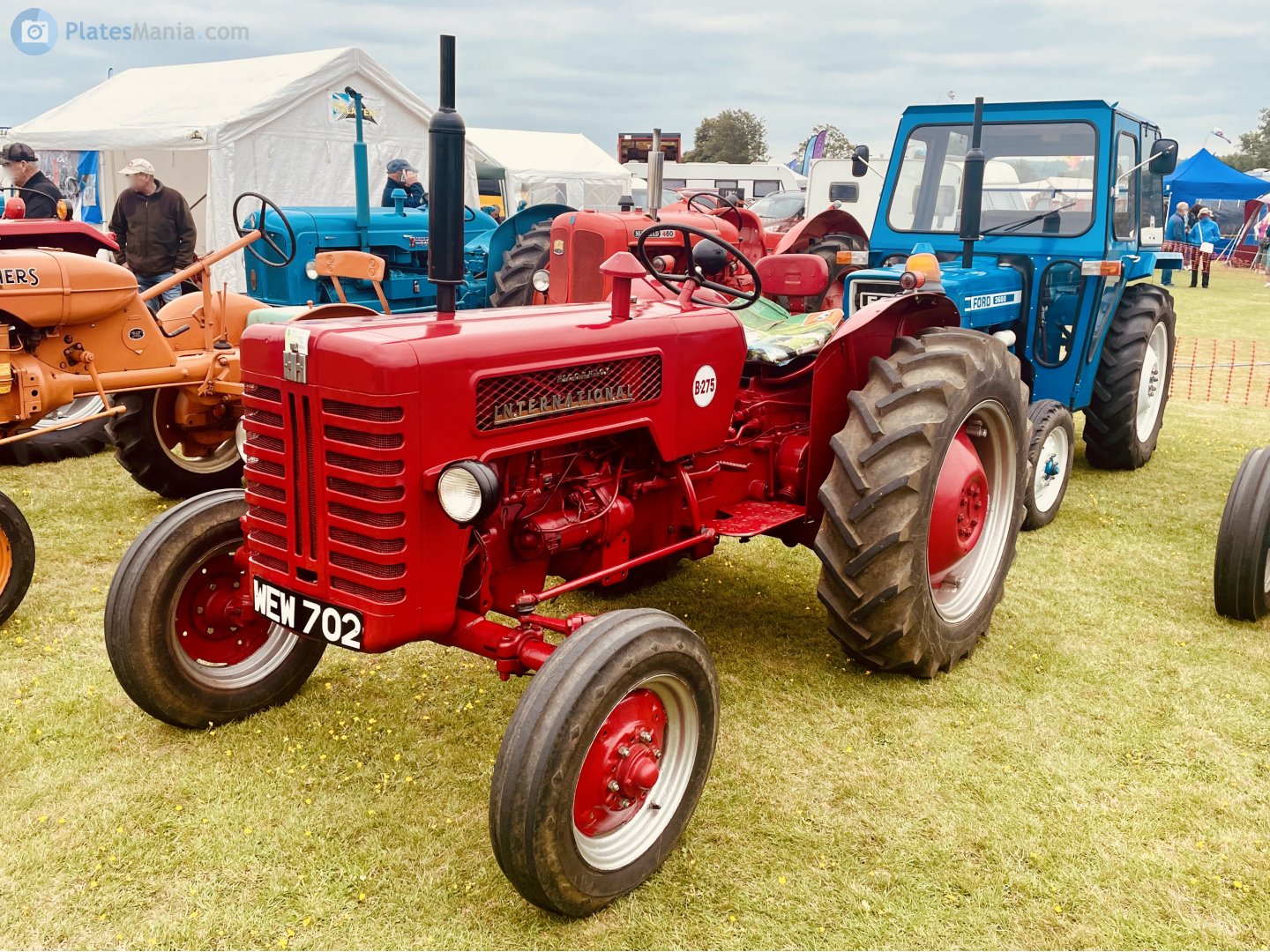 WEW702, International 