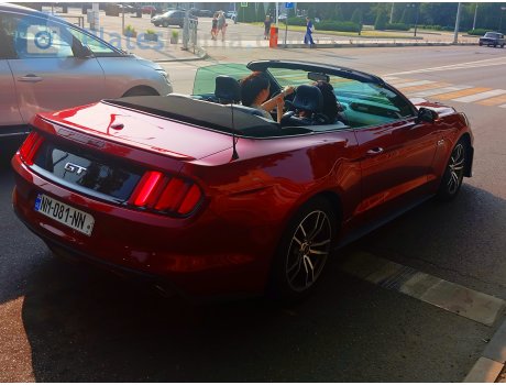 NM-081-NN, Ford Mustang