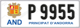 P 9955