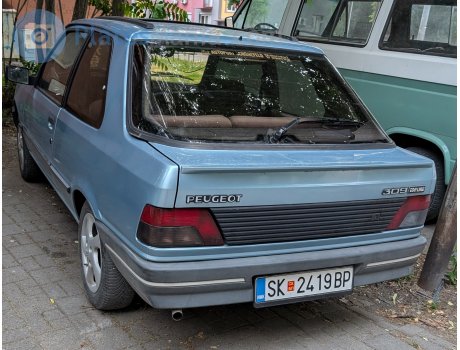 SK 2419 BP, Peugeot 309