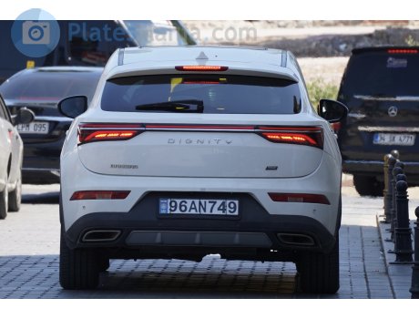 96AN749, Bahman Dignity