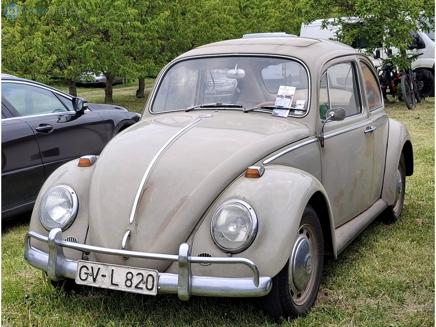 GV L 820, Volkswagen Beetle 1st gen Sedan (Type 1), 1938­–2003