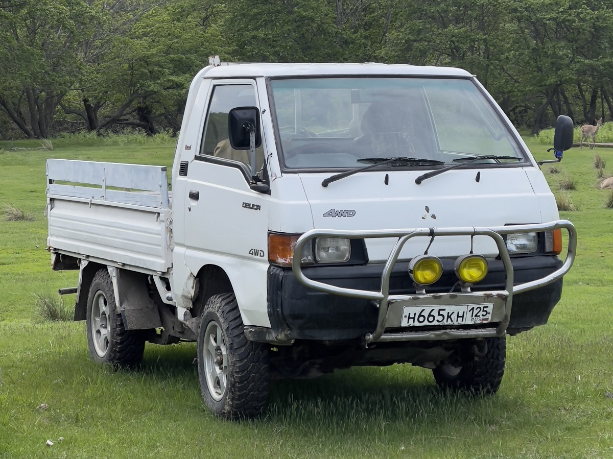 н 665 кн 125, Mitsubishi Delica 3rd gen Truck, 1994–1999