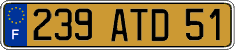French license plate, FNI