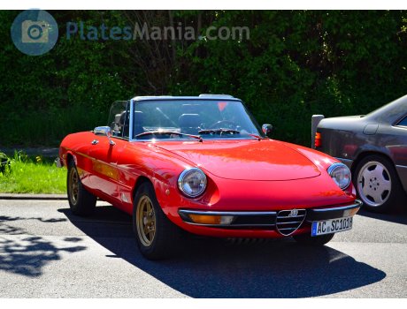 AC SC 101H, Alfa Romeo Spider