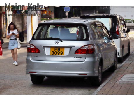 PM 8099, Toyota Picnic