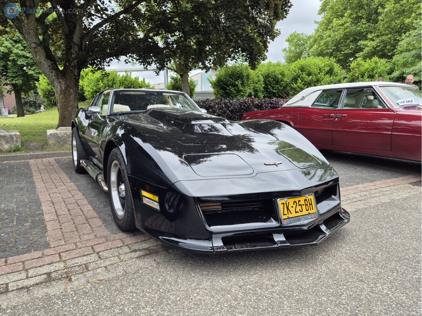 ZK-25-BH, Chevrolet Corvette 3rd gen Coupé (C3; 1YZ/1YY), 3rd facelift, 1979–1982
