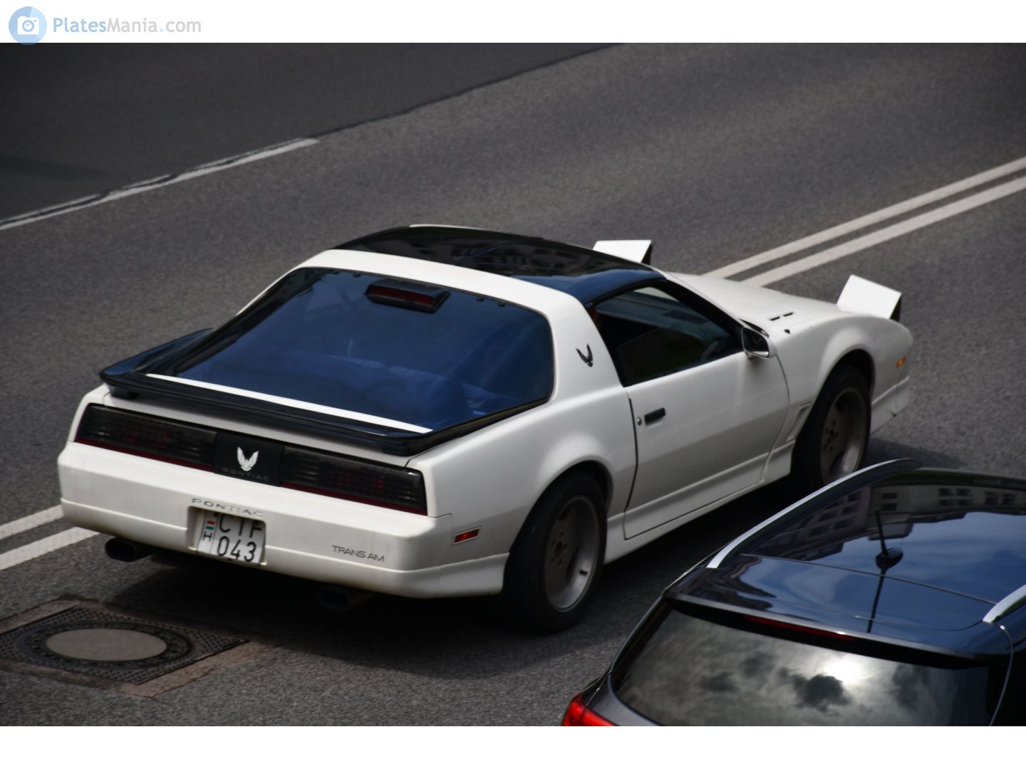 CTF-043, Pontiac Firebird 3rd gen Targa (87; F-body), 1981–1990