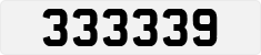 333339