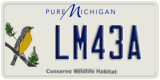 Michigan, Specialty plates (AB12C)