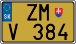 ZM V 384
