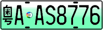 License plate of China, Electric vehicles