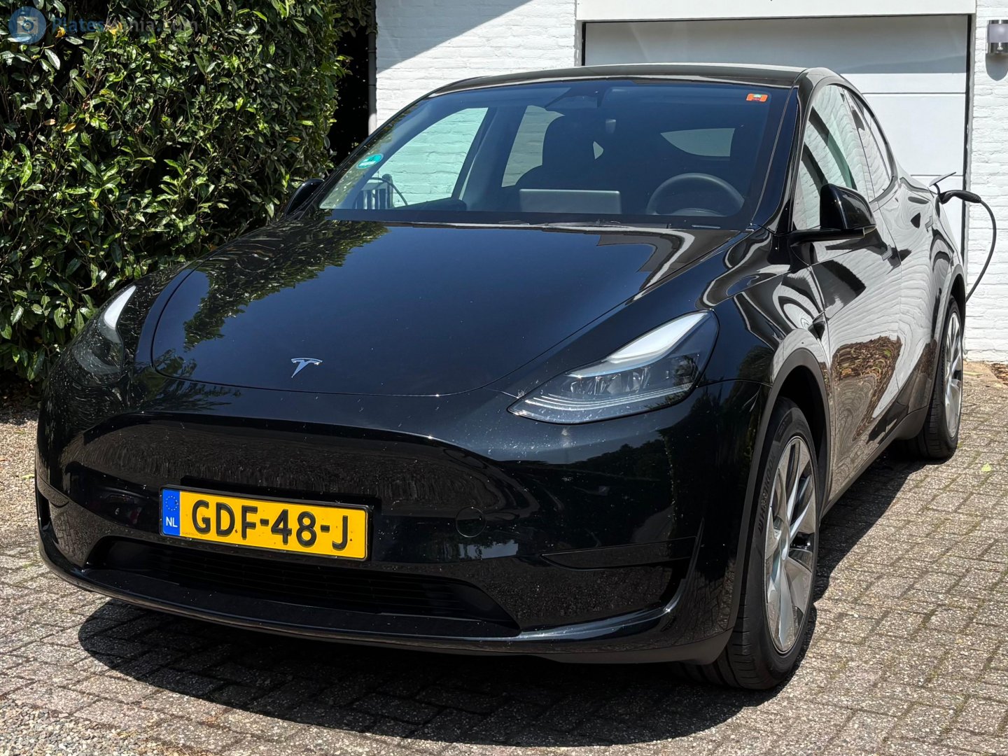 GDF-48-J, Tesla Model Y 1st gen (5YJY), 2020–2025