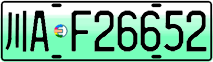 License plate of China, Electric vehicles