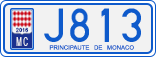 J813