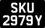 SKU 2979 Y