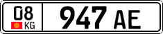 License plate of Kyrgyzstan, Organizations (2016)