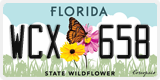Florida, Specialty plates (XXX XXX)