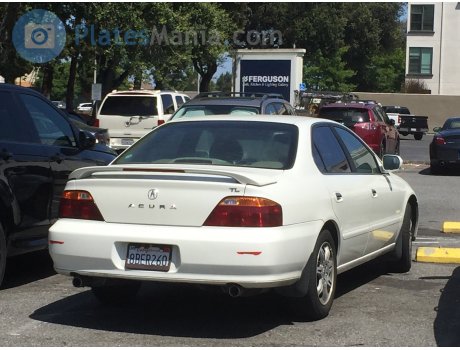 8BER260, Acura TL