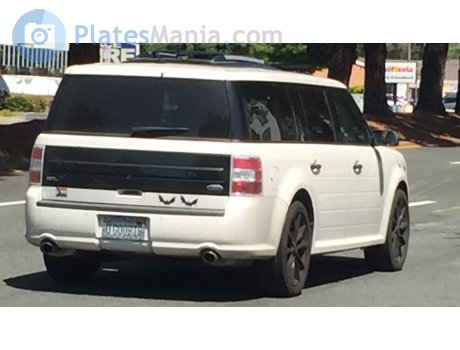 O GOOBIE, Ford Flex