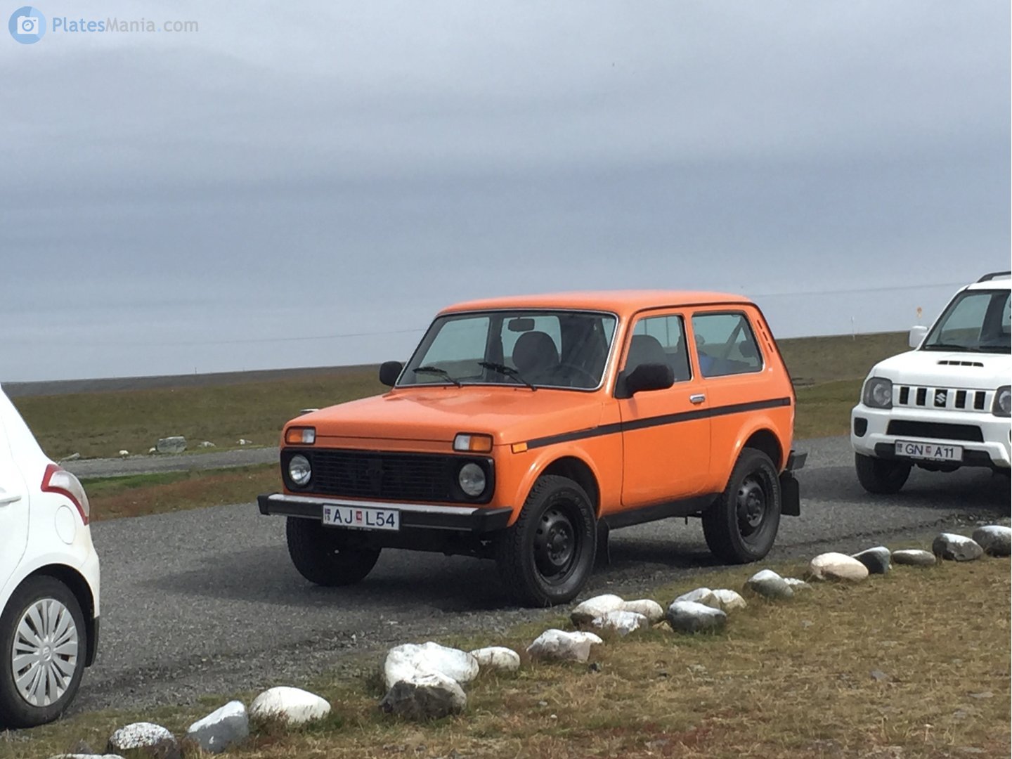 AJ L54, Lada (VAZ) 2121 Нива 21213/21214 (Legend), 1994–