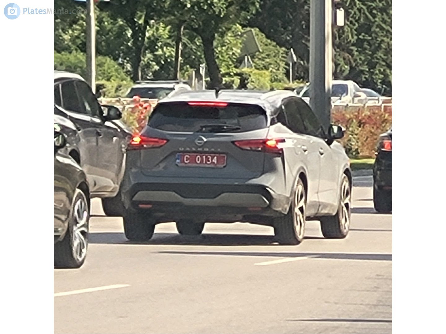 C 0134 25, Nissan Murano 3rd gen (Z52), 2014–2024