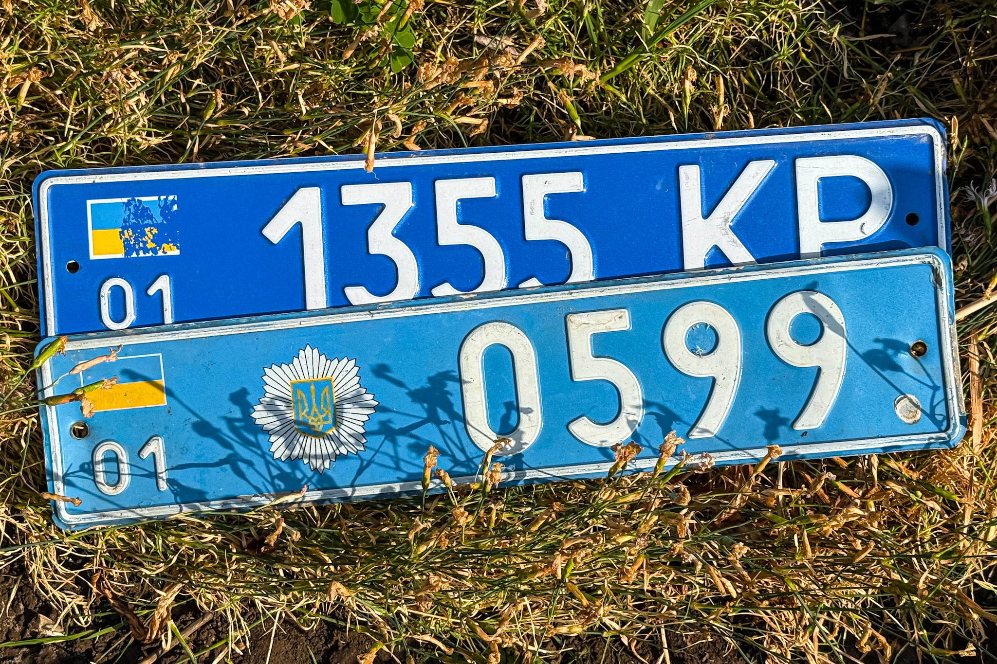 01 0599, License plate without vehicle 