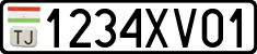 1234XV01