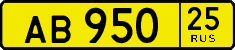 License plate Russia, Public transport