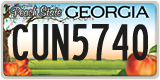 Georgia, ABC 1234