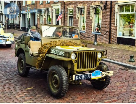 DZ-80-71, Hotchkiss M201