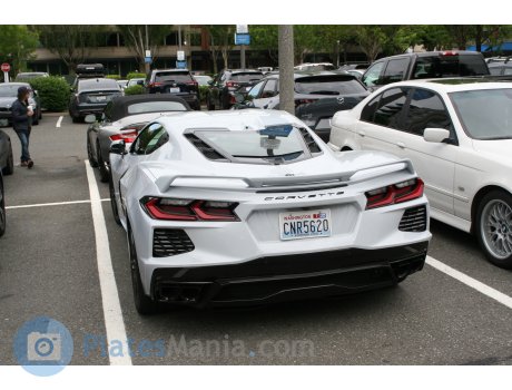 CNR5620, Chevrolet Corvette