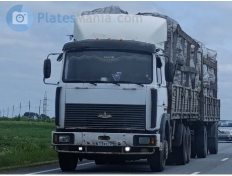 е611хс196, MAZ 6303