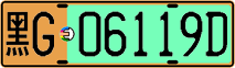 License plate of China, Electric vehicles