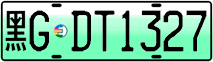 License plate of China, Electric vehicles