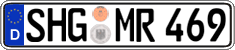 German license plate, Regular plates