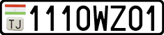 1110WZ01