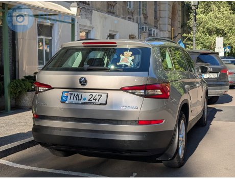 TMU 247, Skoda Kodiaq